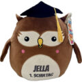 Eule4 Eule mit Hut | Kuscheltier bestickt | personalisiert mit Namen, Initialen oder Motiv